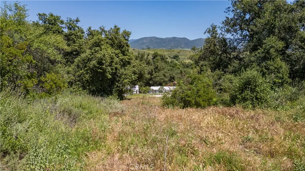 Danielle Lane Trabuco Canyon, CA 92678