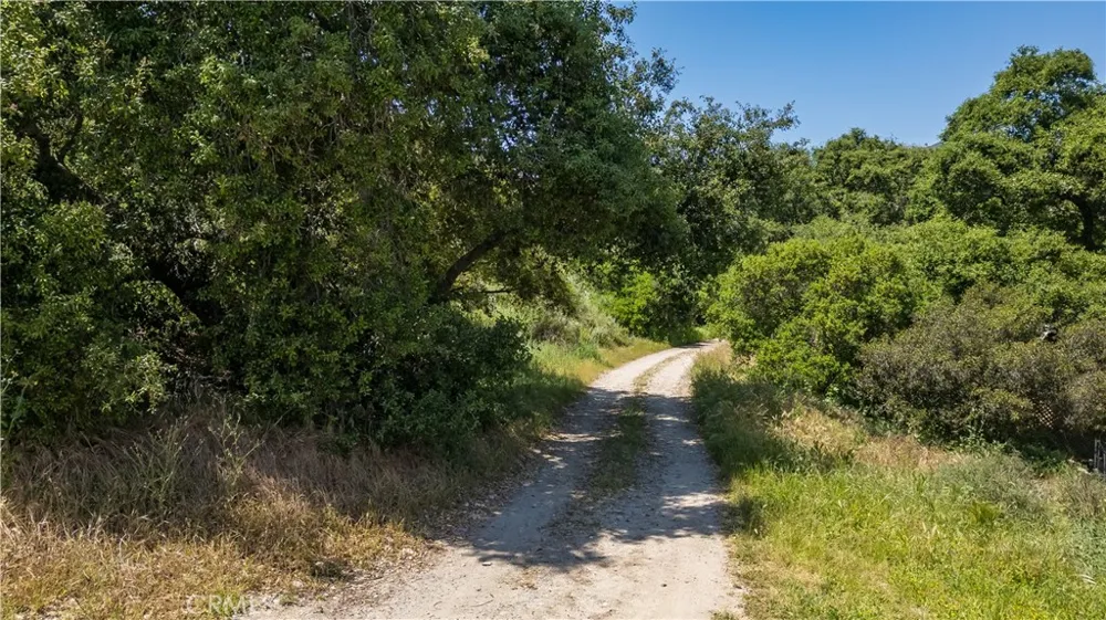 Danielle Lane Trabuco Canyon, CA 92678