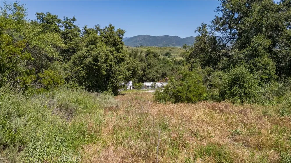 Danielle Lane Trabuco Canyon, CA 92678