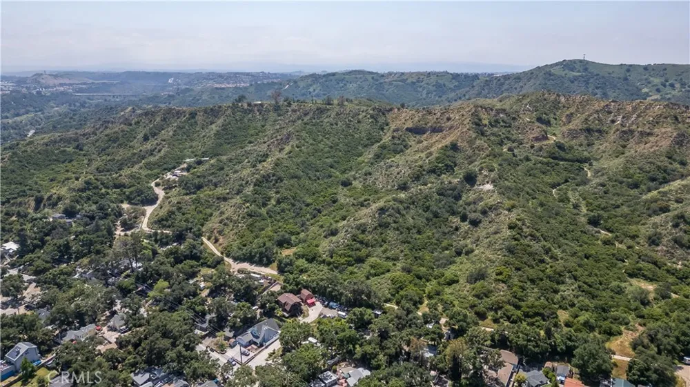 Danielle Lane Trabuco Canyon, CA 92678