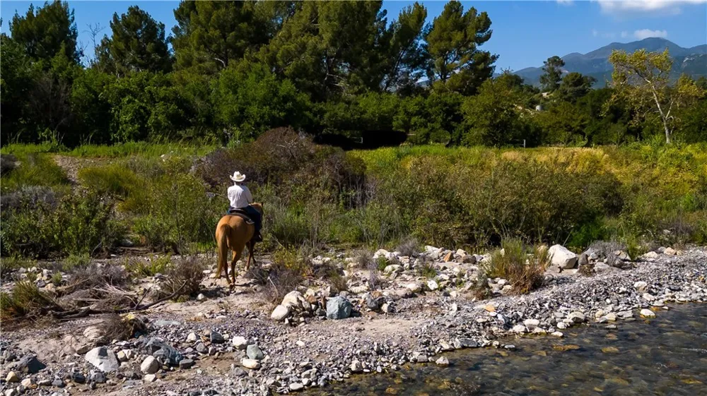 Danielle Lane Trabuco Canyon, CA 92678