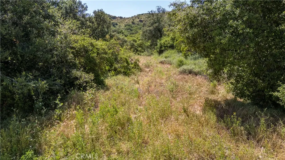 Danielle Lane Trabuco Canyon, CA 92678