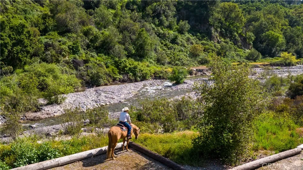 Danielle Lane Trabuco Canyon, CA 92678