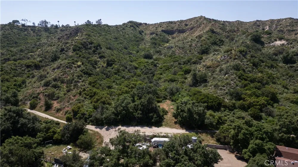 Danielle Lane Trabuco Canyon, CA 92678