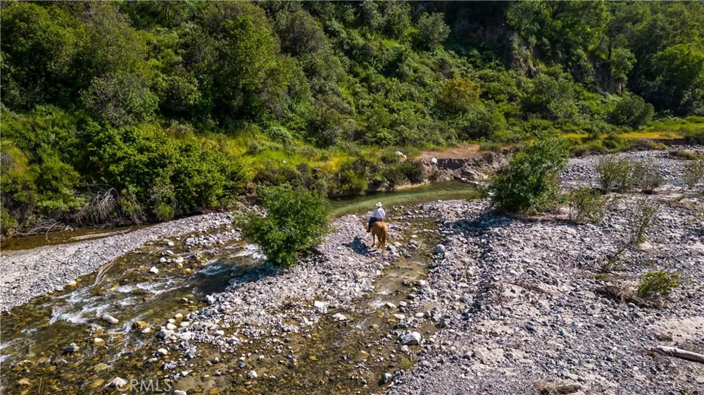 Danielle Lane Trabuco Canyon, CA 92678