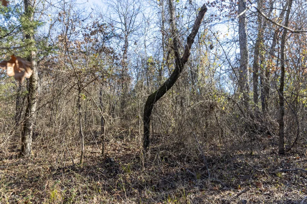 1 E 1180 ROAD Okemah, OK 74859