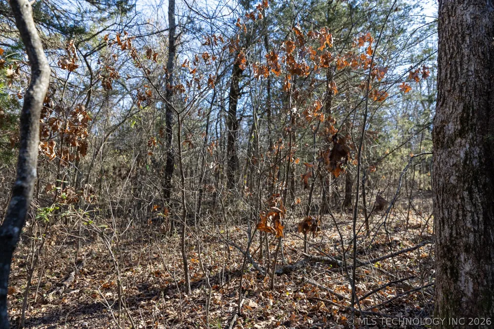 1 E 1180 ROAD Okemah, OK 74859