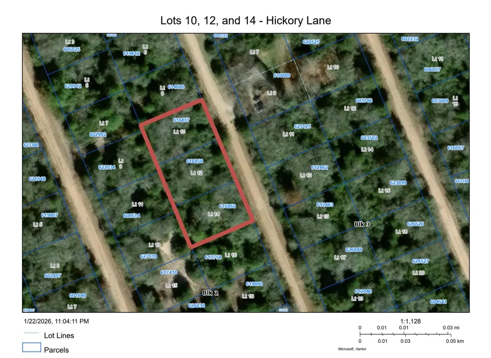 Hickory Lane Hilltop Lakes, TX 77871