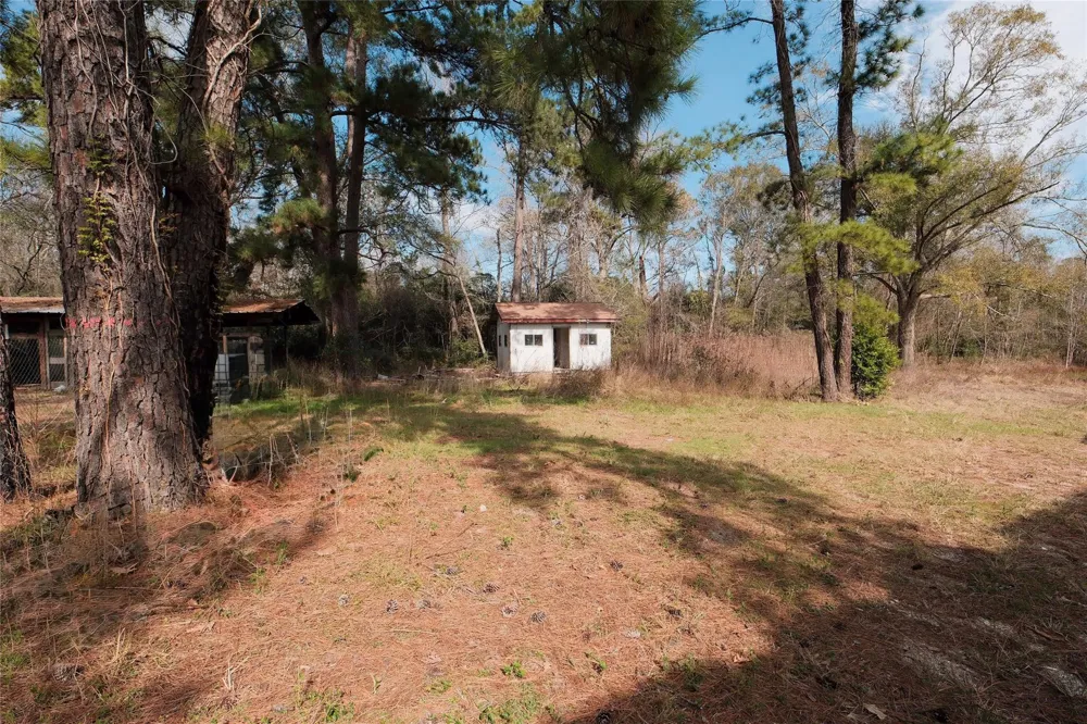 19895 Scott Gardner Road New Caney, TX 77357
