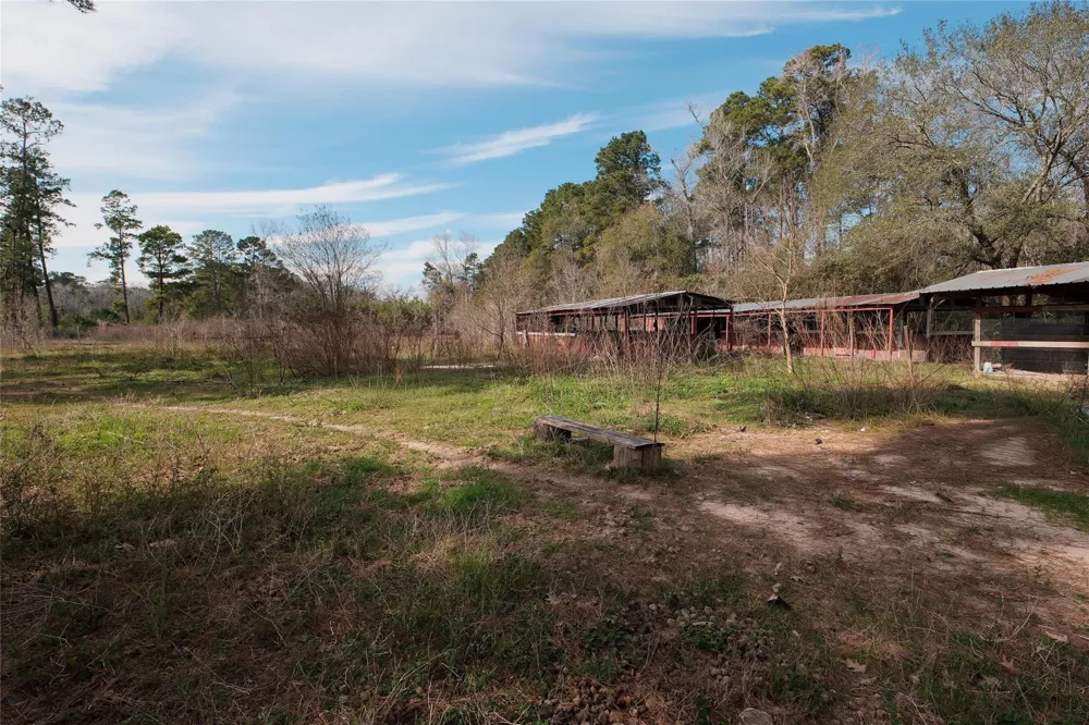 19895 Scott Gardner Road New Caney, TX 77357
