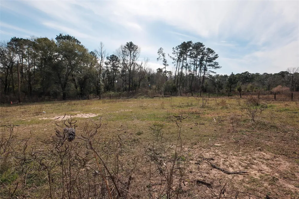 19895 Scott Gardner Road New Caney, TX 77357