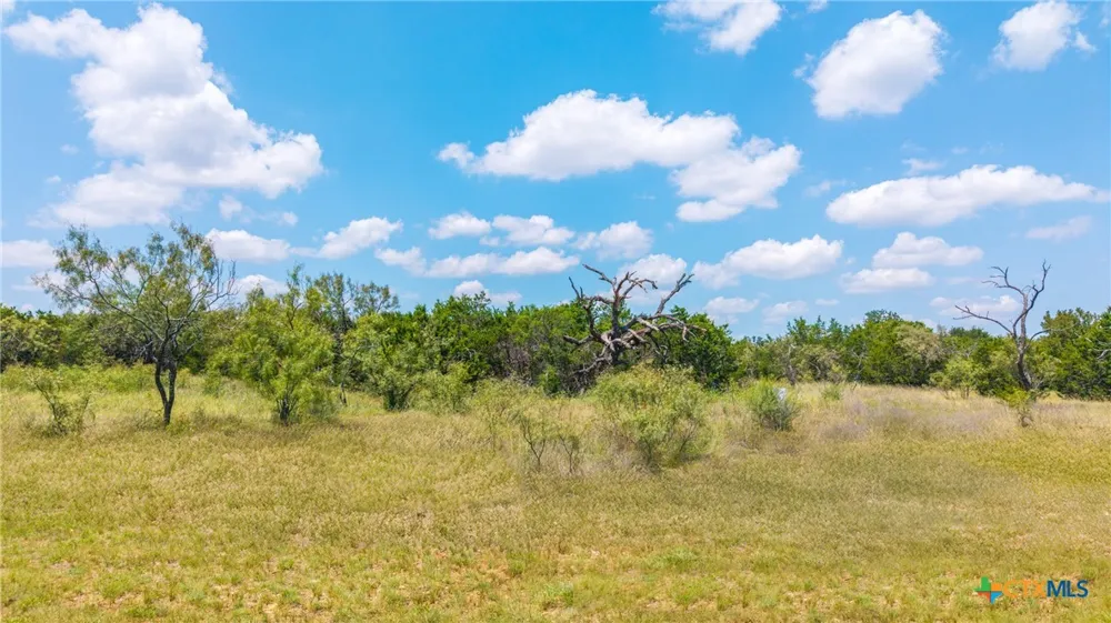 13 PR 42111 Evant, TX 76525
