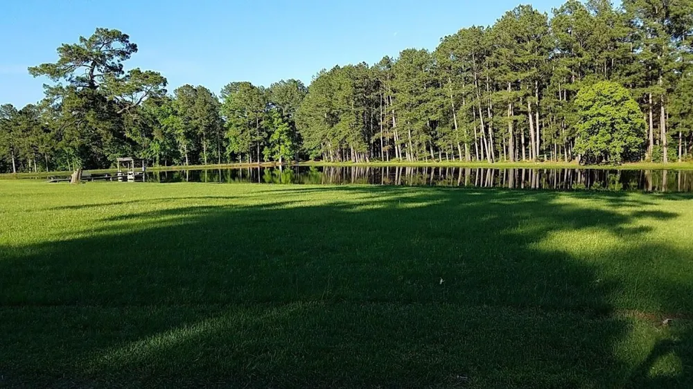 Lincoln Wiggins Street