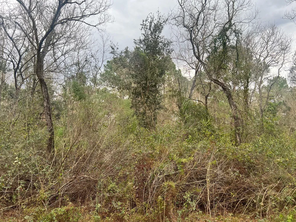 14000 Tx-65 Stowell, TX 77665