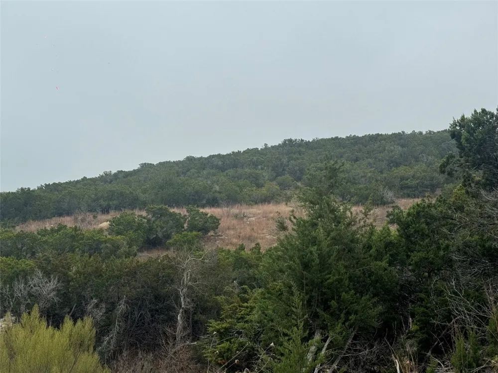 11205 Cherry Hollow Crossing Leander, TX 78641