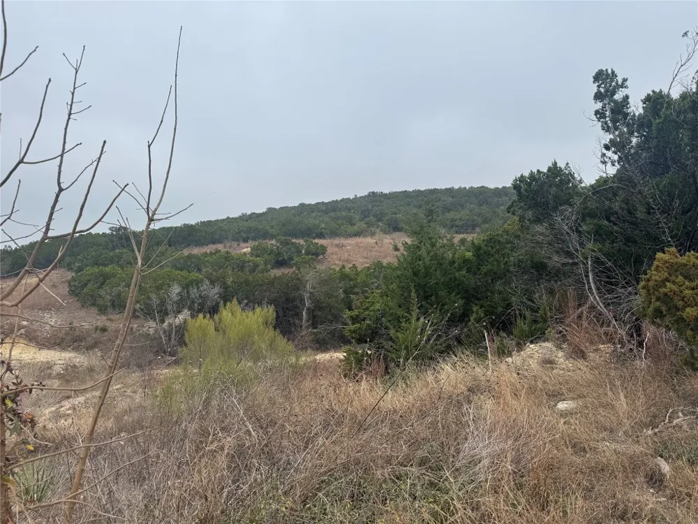 11205 Cherry Hollow Crossing Leander, TX 78641