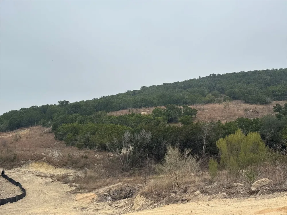 11205 Cherry Hollow Crossing Leander, TX 78641