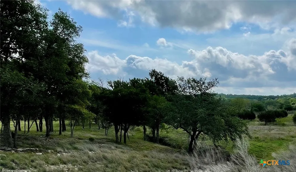 3259 Schumann Road Stonewall, TX 78671