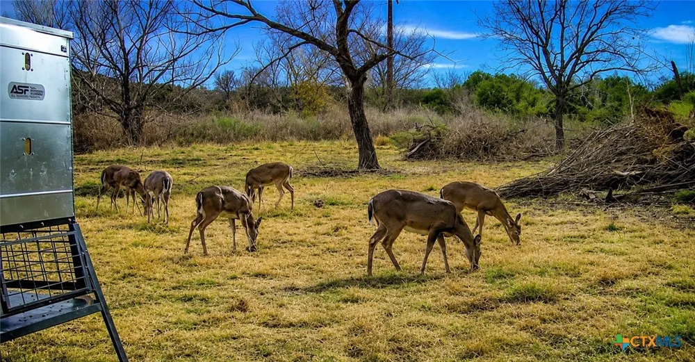 3259 Schumann Road Stonewall, TX 78671