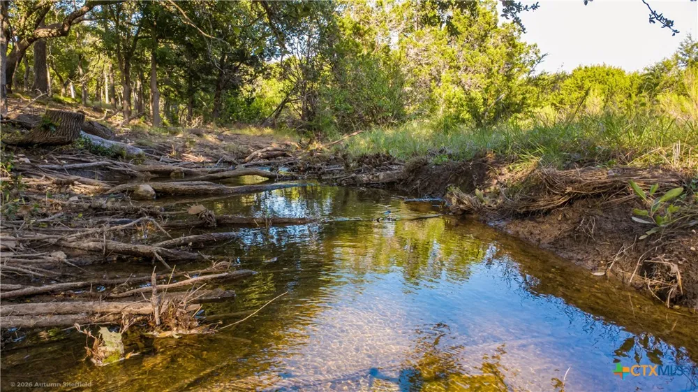 3259 Schumann Road Stonewall, TX 78671