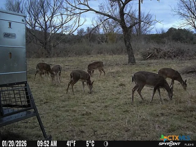 3259 Schumann Road Stonewall, TX 78671