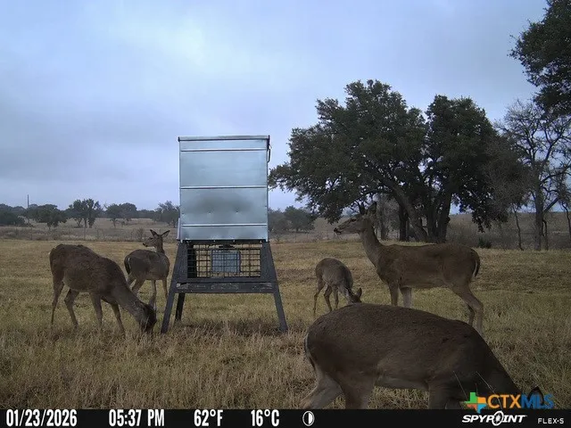3259 Schumann Road Stonewall, TX 78671