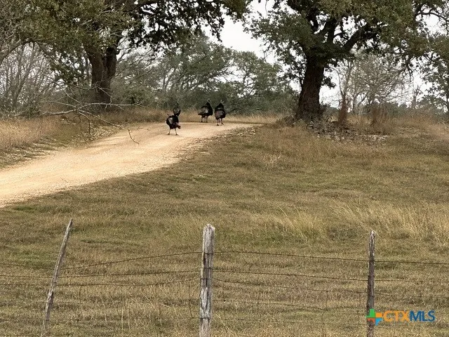 3259 Schumann Road Stonewall, TX 78671