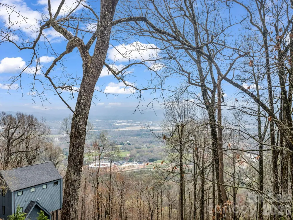 5 Chestnut Top Circle Mills River, NC 28759