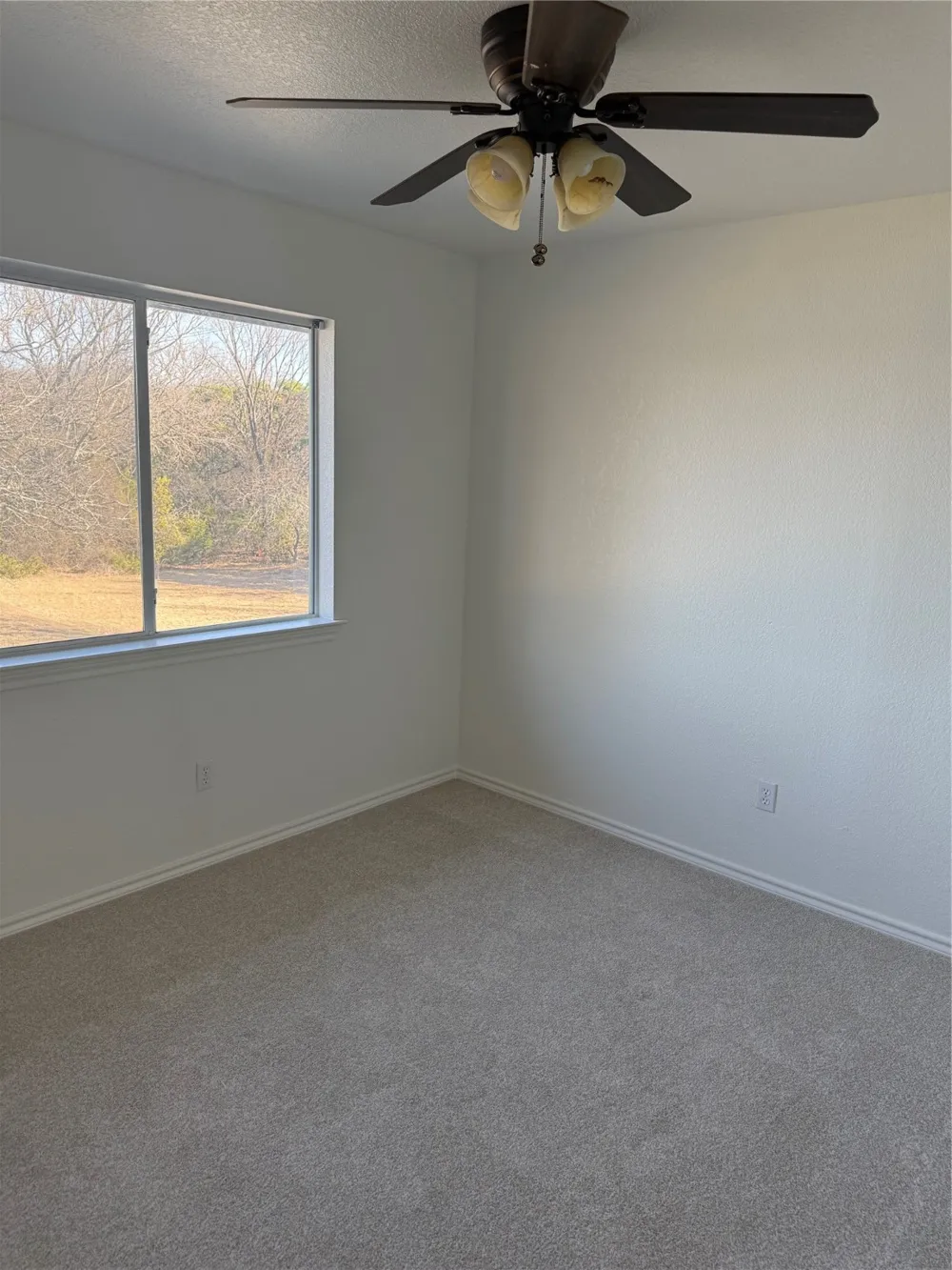 1451 Lakeside Trail Whitney, TX 76692