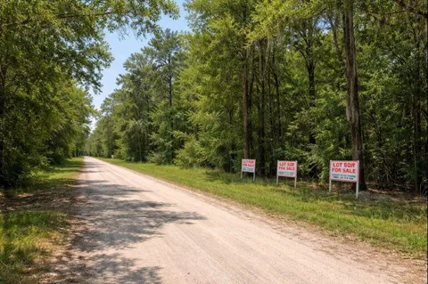 Bayou Drive
