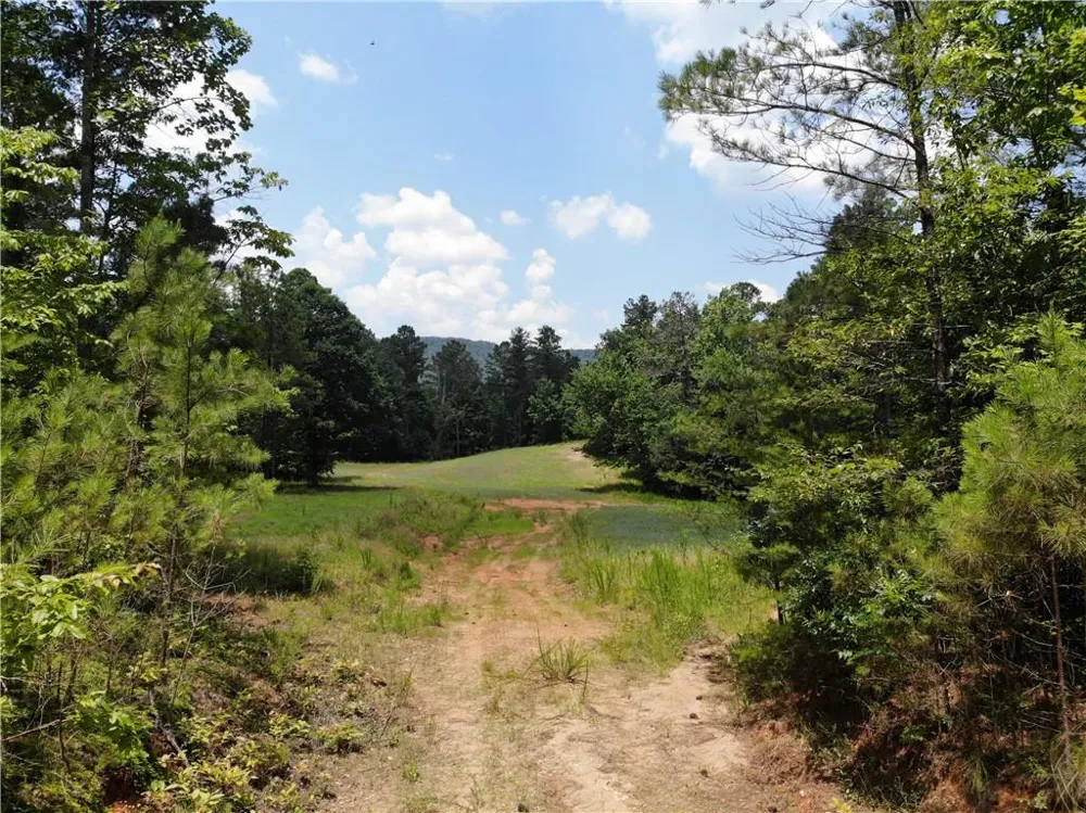 1600 White Road White, GA 30284