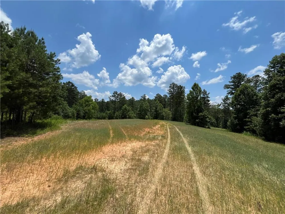 1600 White Road White, GA 30284