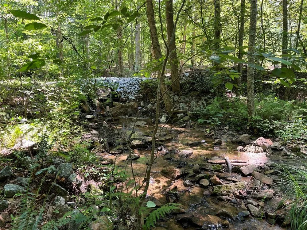 1600 White Road White, GA 30284