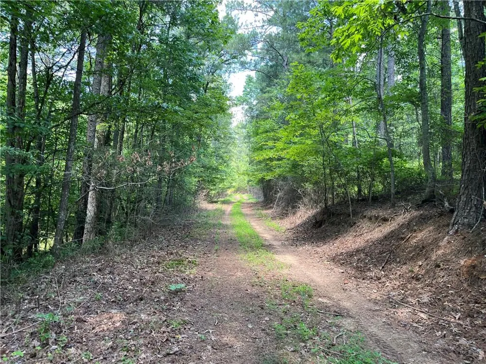 1600 White Road White, GA 30284