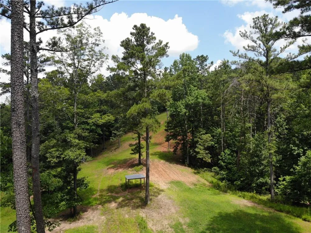 1600 White Road White, GA 30284