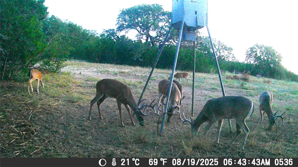 CR 206 Lampasas, TX 76550