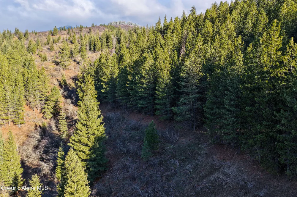 NNA Italian Gulch Kellogg, ID 83837