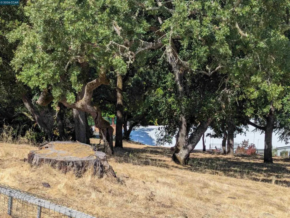 13 St. James  Ct. Orinda, CA 94563