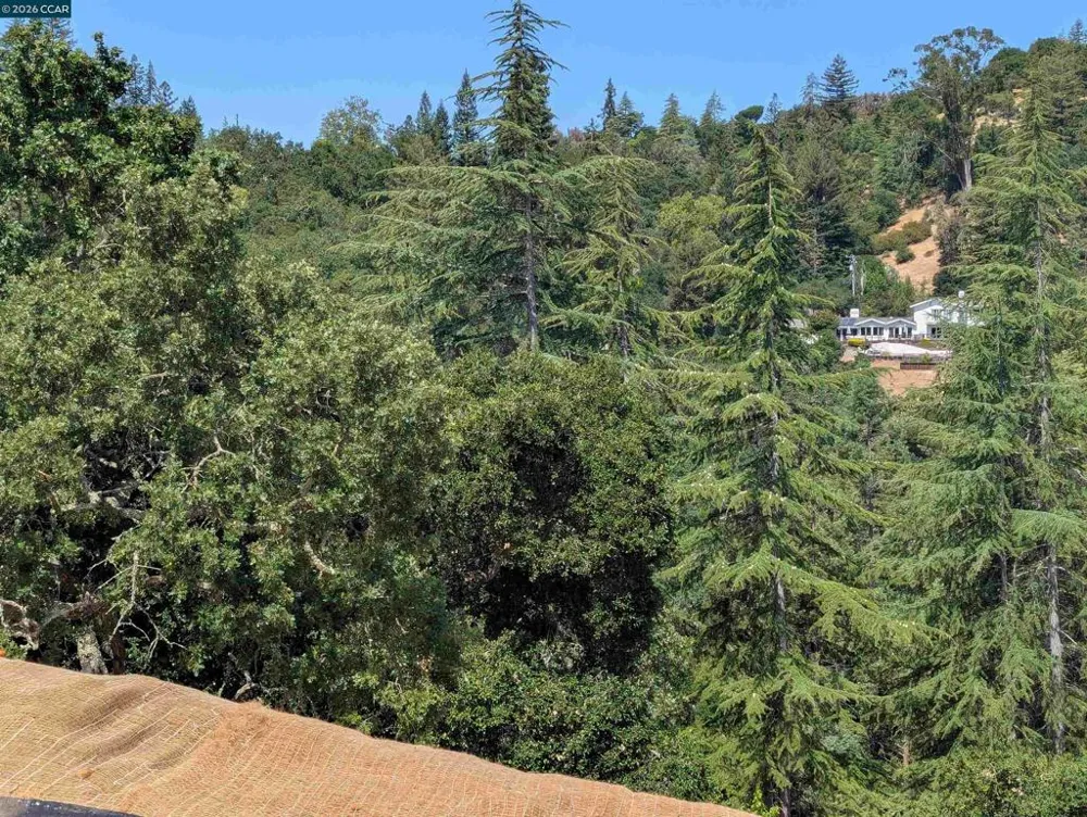 13 St. James  Ct. Orinda, CA 94563