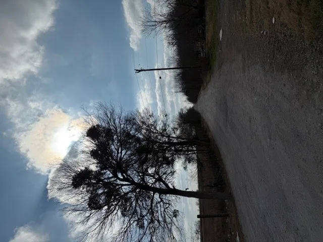 15209 Jacobson Road Del Valle, TX 78617