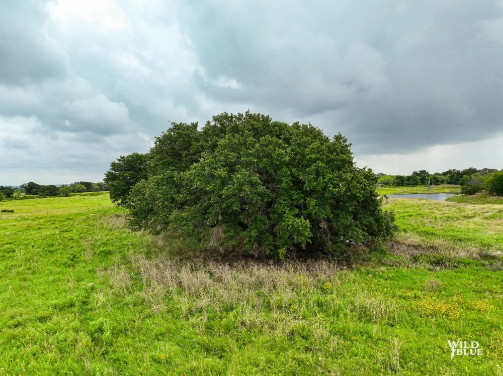 Canyon Ranch Road Palo Pinto, TX 76484