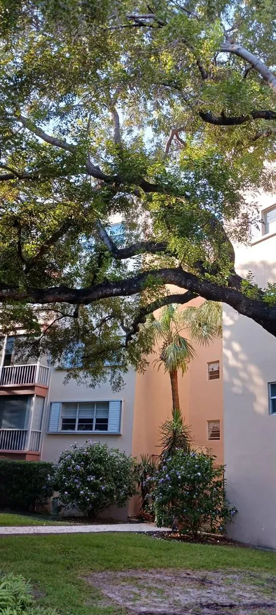 6731 Cypress Rd #310 Plantation, FL 33317