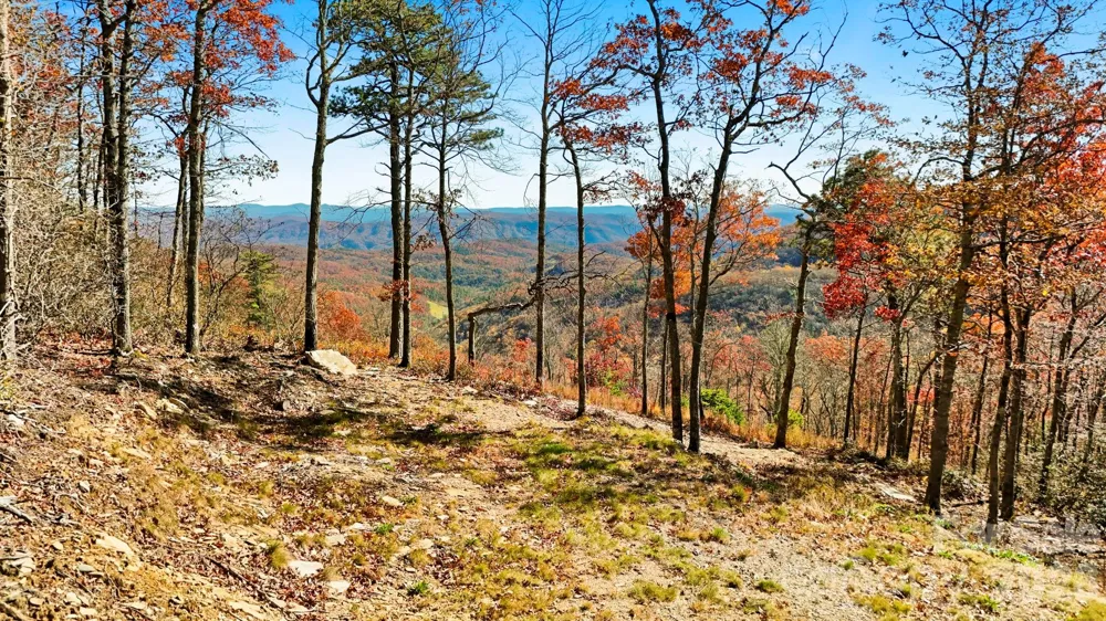 Lot 23 Bluebell Trail Boone, NC 28607
