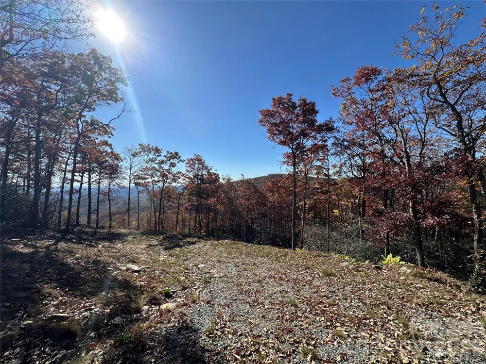 Lot 23 Bluebell Trail Boone, NC 28607