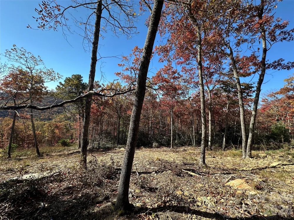 Lot 23 Bluebell Trail Boone, NC 28607