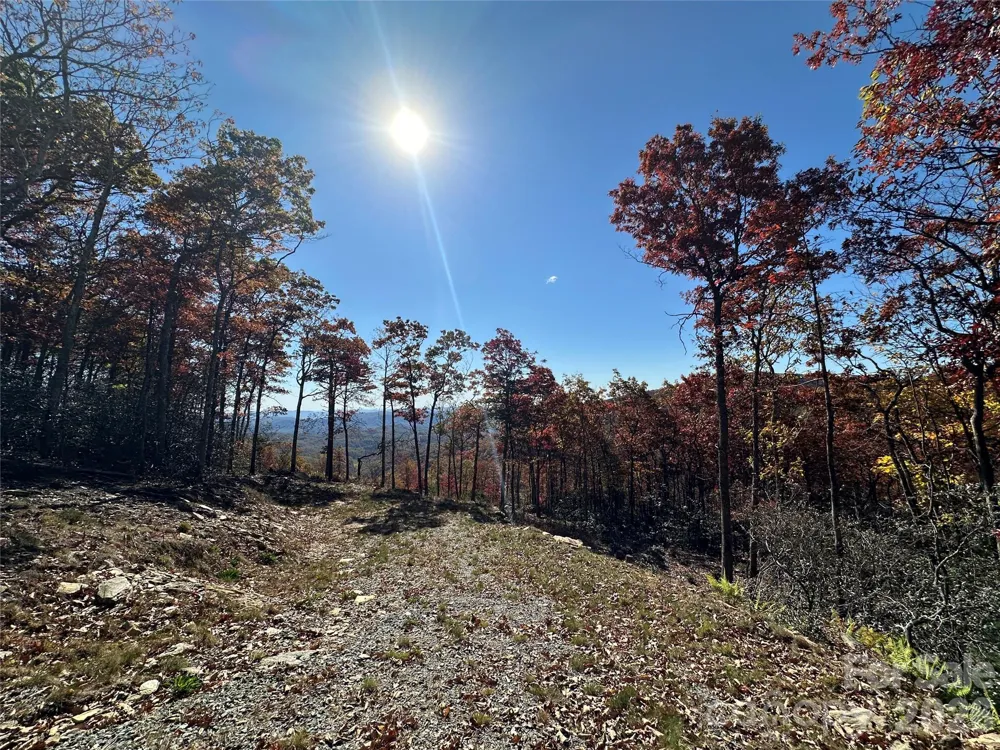 Lot 23 Bluebell Trail Boone, NC 28607