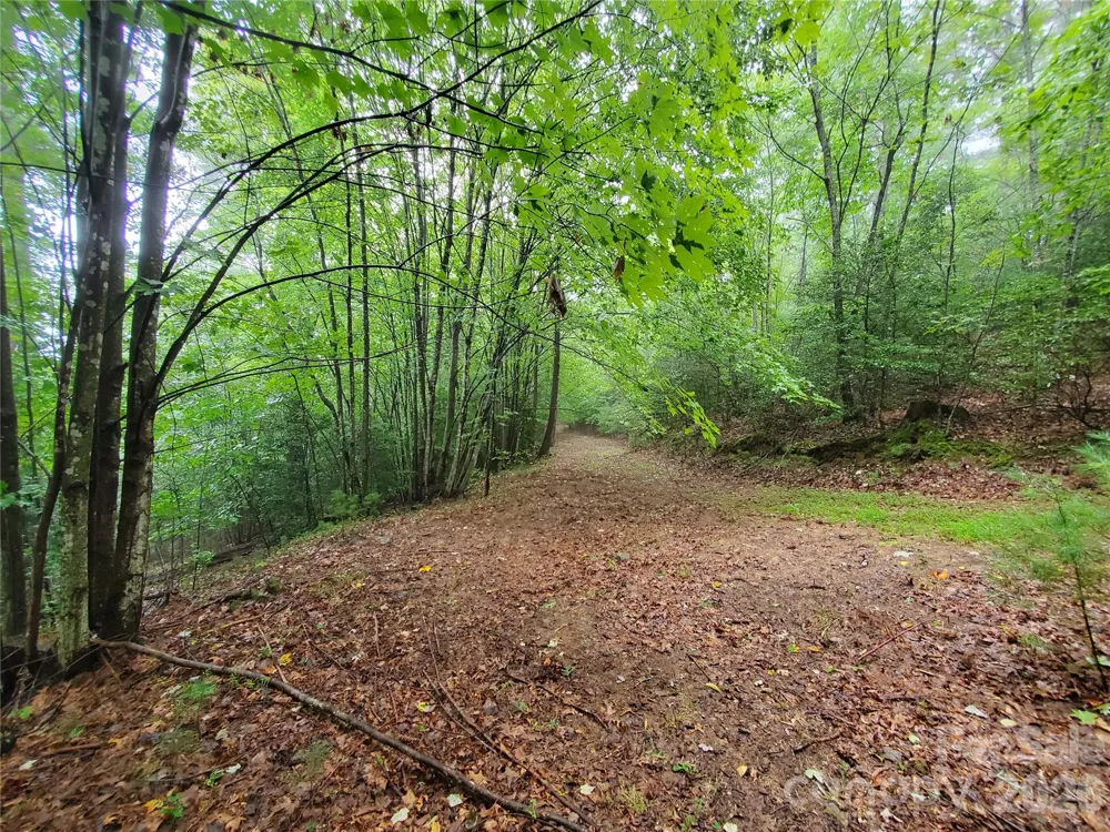 TBD Taylorsville Road Granite Falls, NC 28645