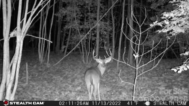 TBD Taylorsville Road Granite Falls, NC 28645