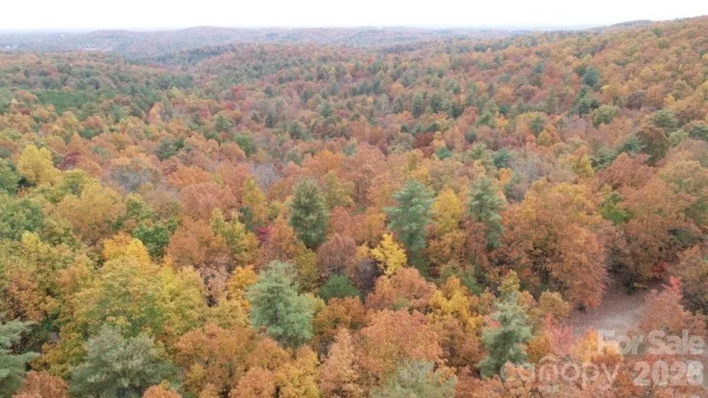 TBD Taylorsville Road Granite Falls, NC 28645