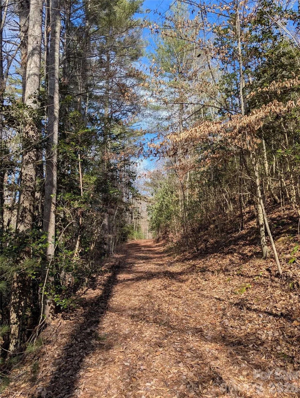 TBD Taylorsville Road Granite Falls, NC 28645